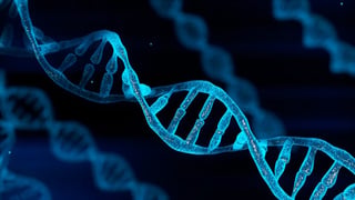 FDA Weighs in on Popular Peptides