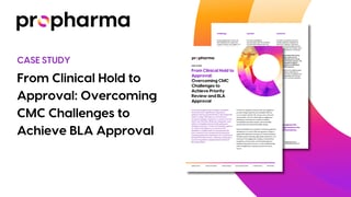 Reestablishing FDA Alignment After a CMC Disruption: A Strategic Path to BLA Approval