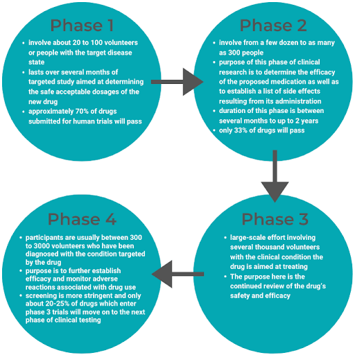 The Four Phases of the FDA