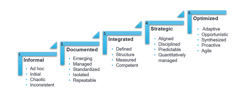 Example of an Organizational Maturity Model