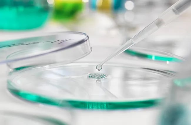 Dropper dropping a drop of fluid onto a petri dish