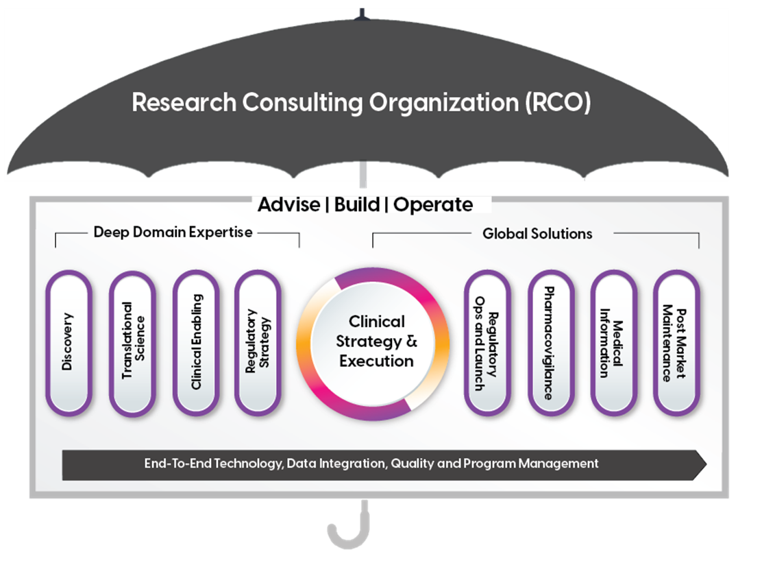 Research Consulting Organization Diagram
