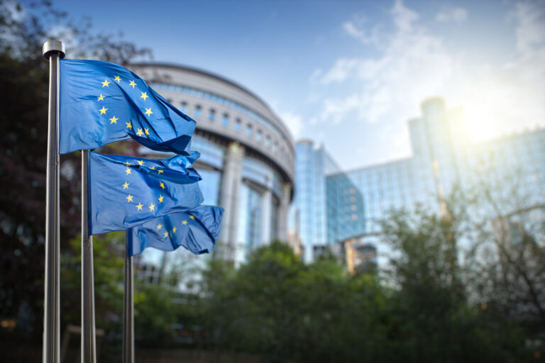 EMA flags in front of buildings.