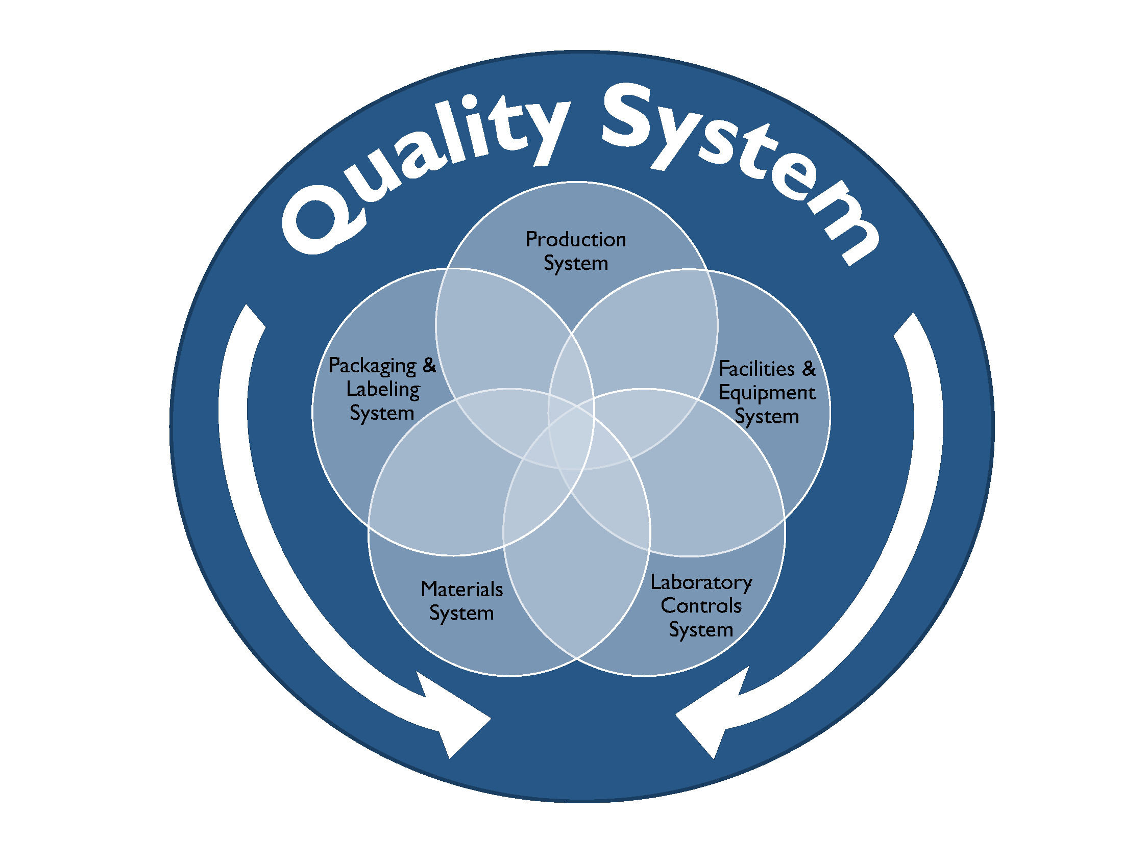 Quality System Illustration with functional areas