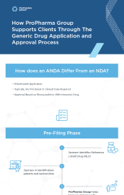 Navigating the Generic Drug Application and Approval Process Image