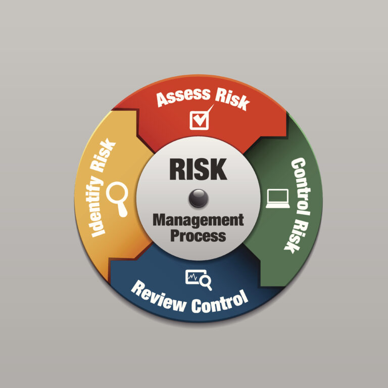 Circle with 'assess risk', 'control risk', 'review control', and 'identify risk' written encircling the 'risk management process.'