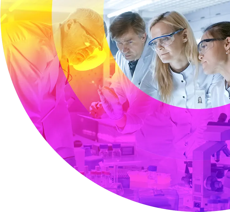 Embedded Solutions Header Banner