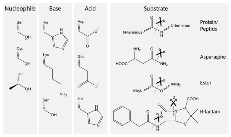 Examples of chemical compounds.