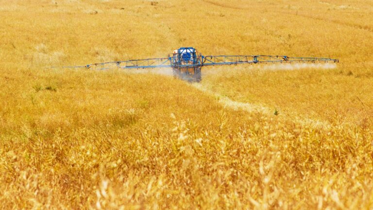 Tractor spraying a field of crops.