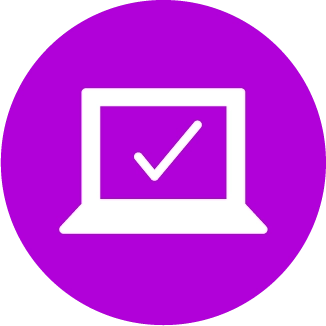 Computer system validation icon